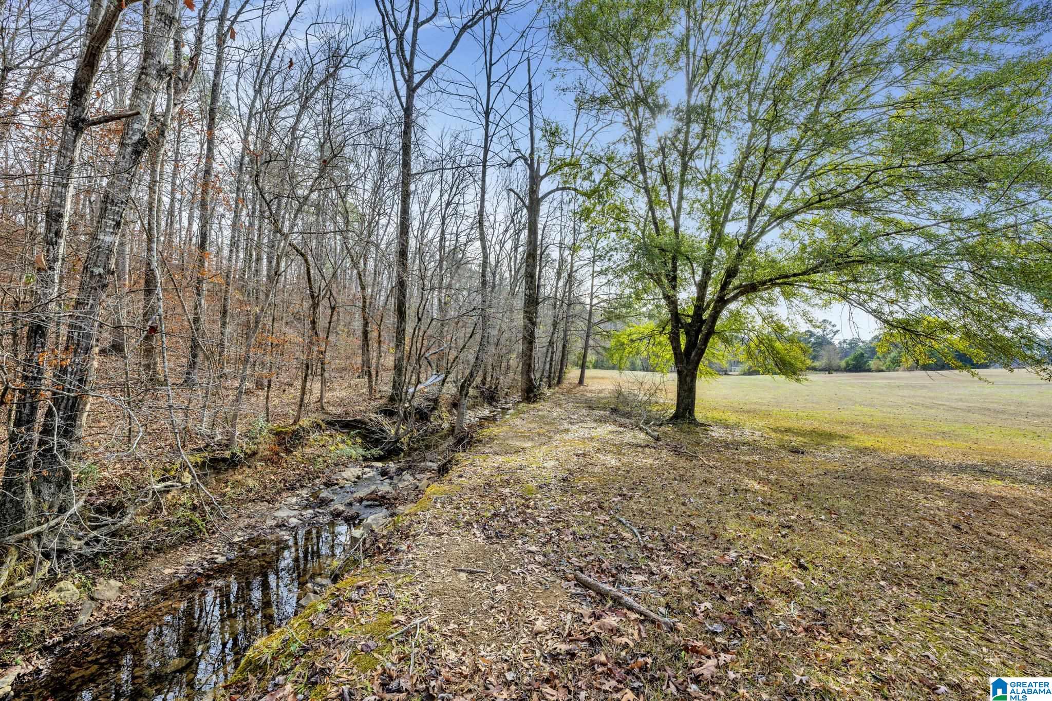 15 Jett Road Hayden, AL 35079 - Photo 10 of 31