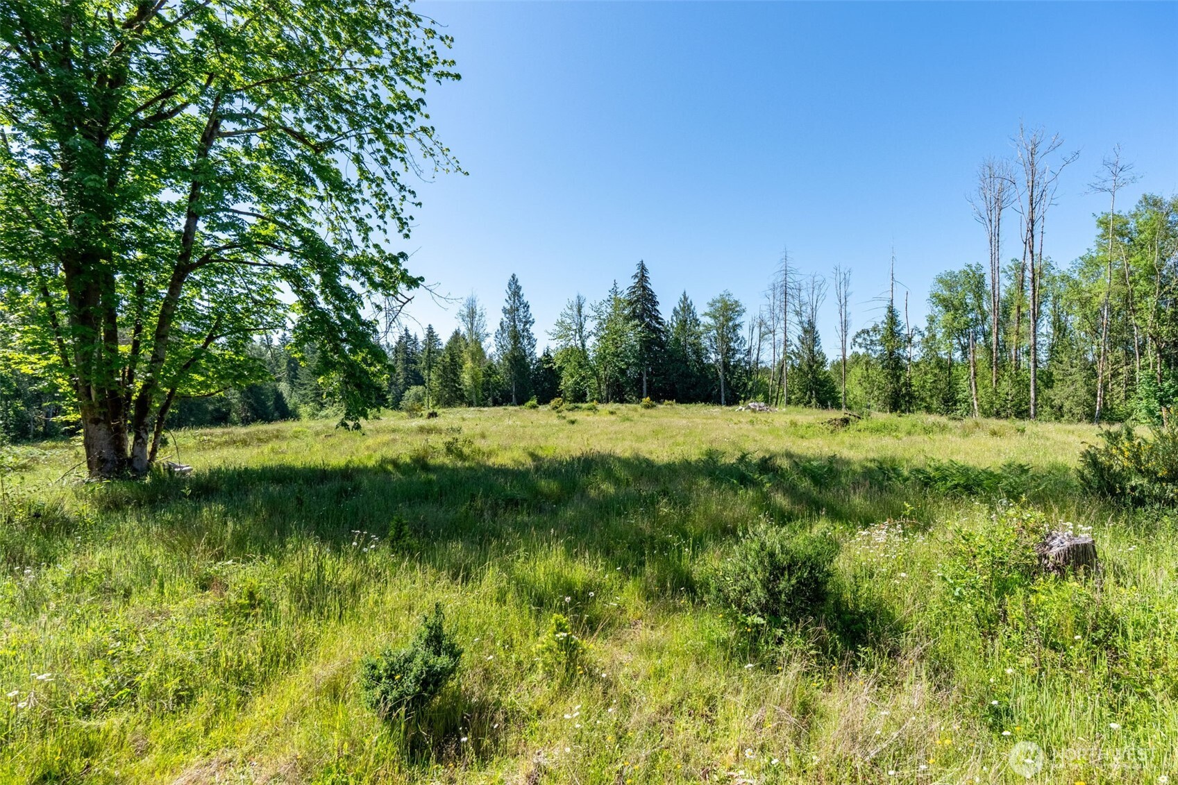 0 Chilvers Road Chehalis, WA 98532 - Photo 39 of 40