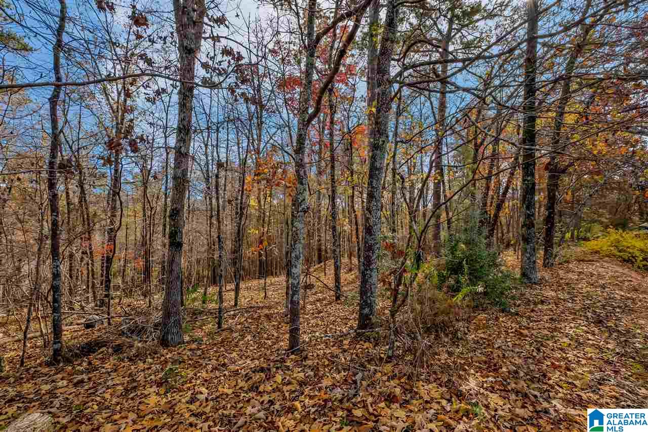 423 North Lake Road Birmingham, AL 35242 - Photo 38 of 40