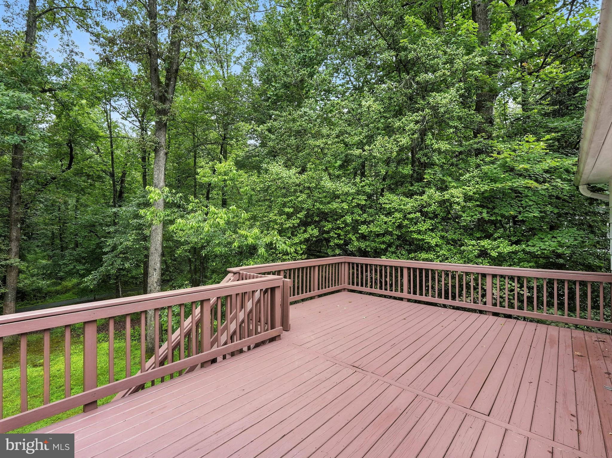 12134 Stirrup Road Reston, VA 20191 - Photo 39 of 57