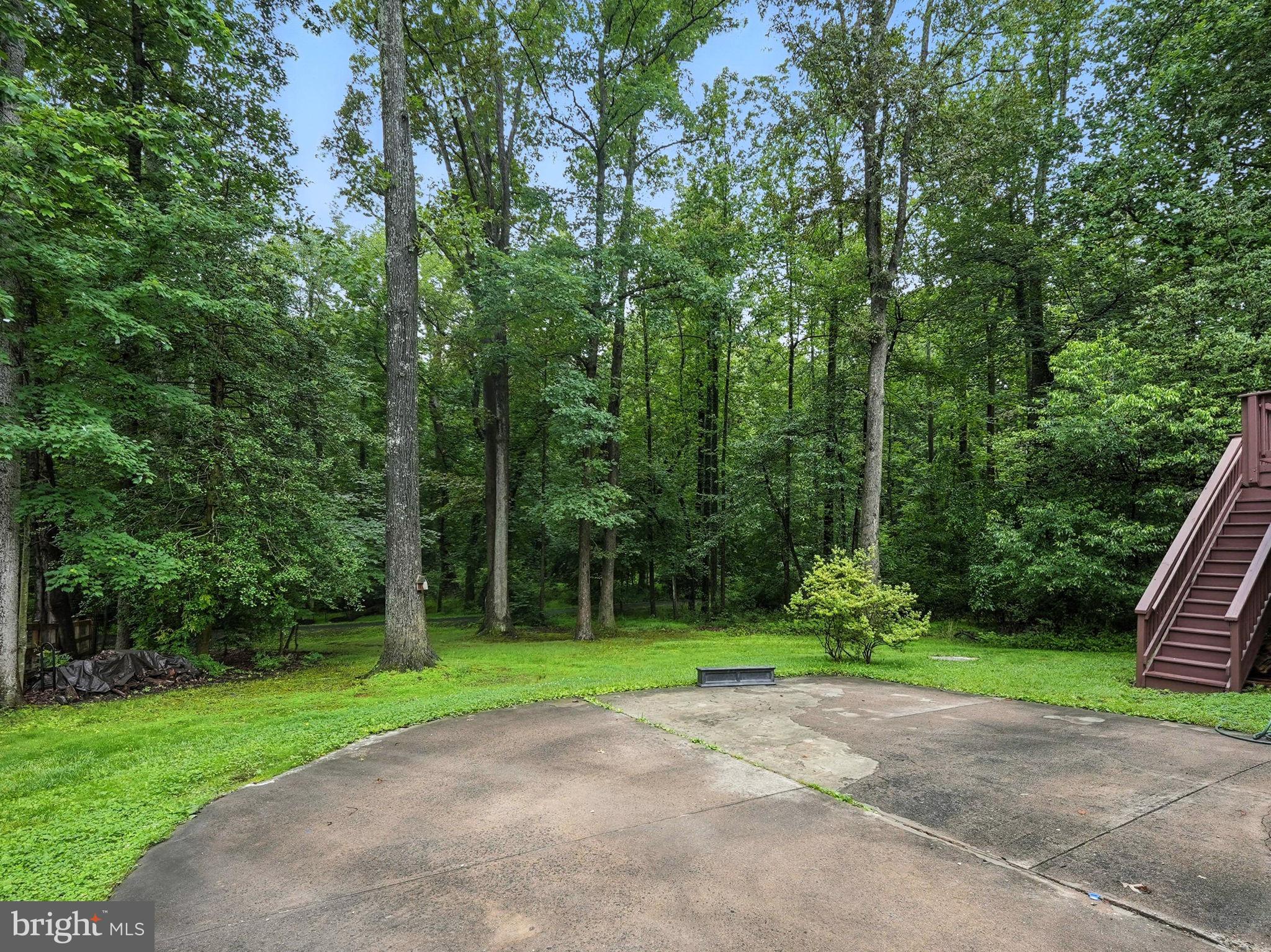12134 Stirrup Road Reston, VA 20191 - Photo 42 of 57