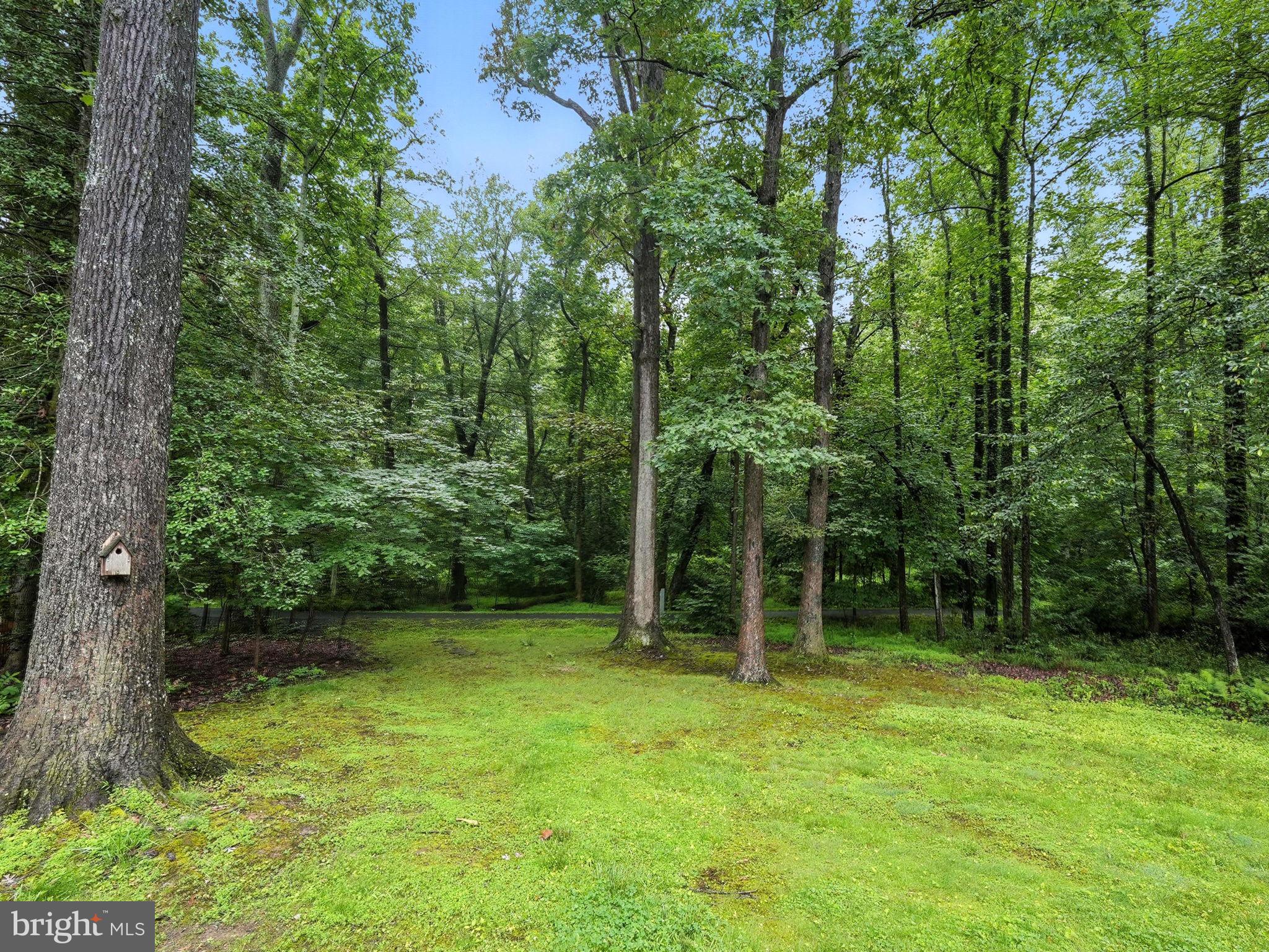12134 Stirrup Road Reston, VA 20191 - Photo 43 of 57
