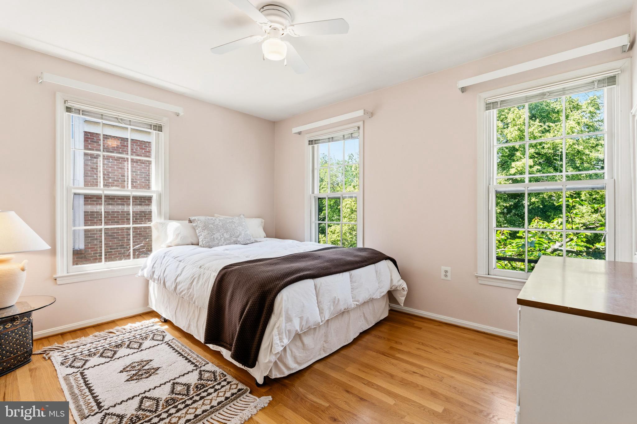 6518 Milva Lane Springfield, VA 22150 - Photo 26 of 55 Second bedroom with dual windows & peaceful views