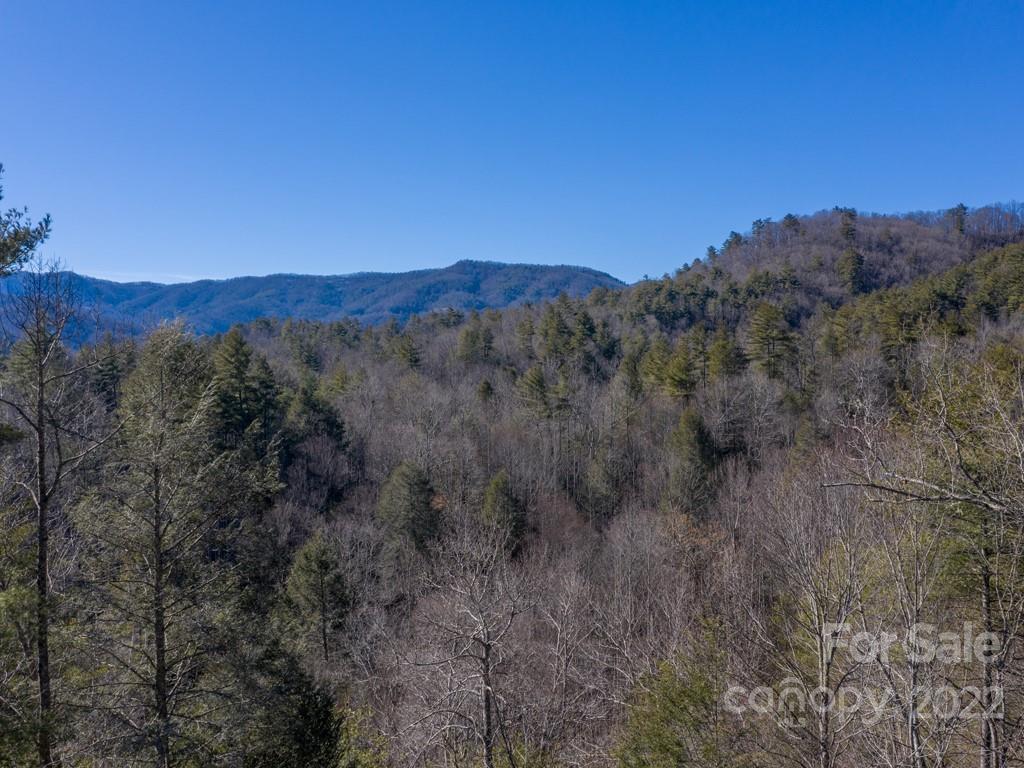 0 Shelton Laurel Road, Unit 1 Clyde, NC 28721 - Photo 1 of 20 a view of a dry yard with mountains in the background