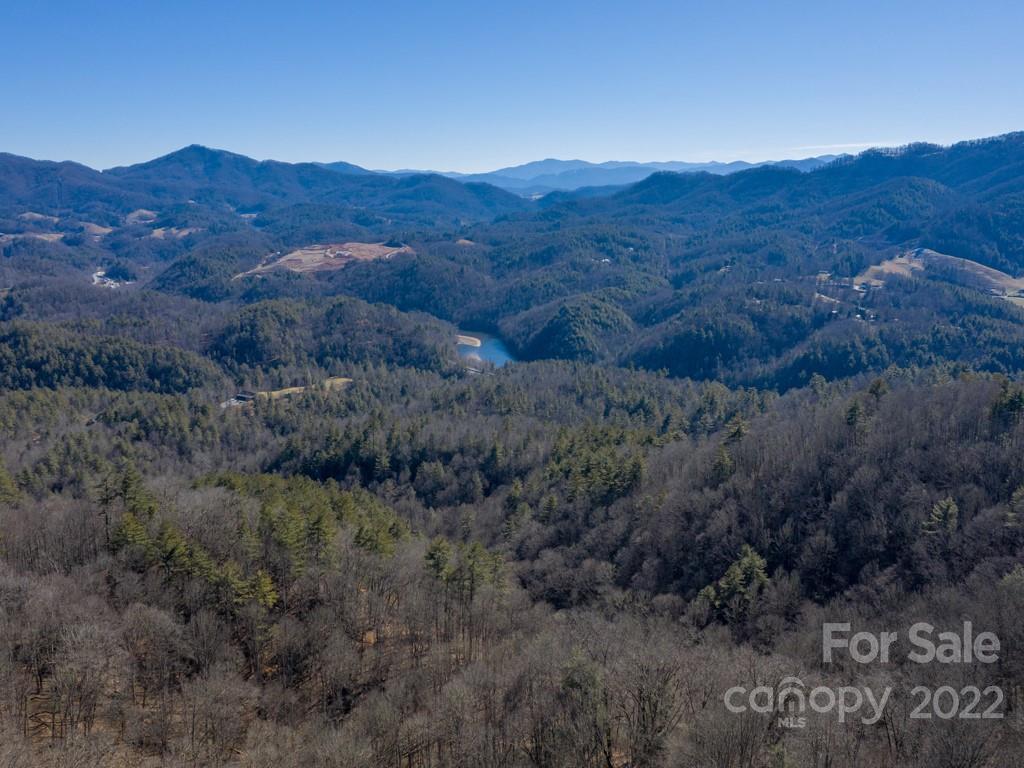 0 Shelton Laurel Road, Unit 1 Clyde, NC 28721 - Photo 13 of 20 a view of a forest with mountains in the background