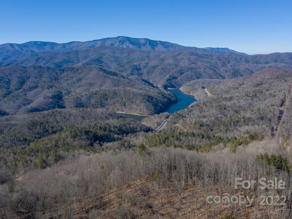 0 Shelton Laurel Road, Unit 1 Clyde, NC 28721 - Photo 15 of 20 a view of a dry forest