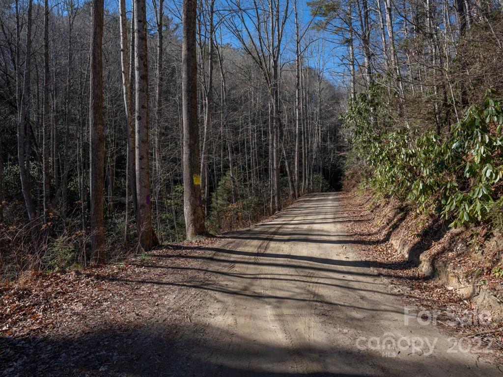 0 Shelton Laurel Road, Unit 1 Clyde, NC 28721 - Photo 17 of 20 a view of backyard with green space