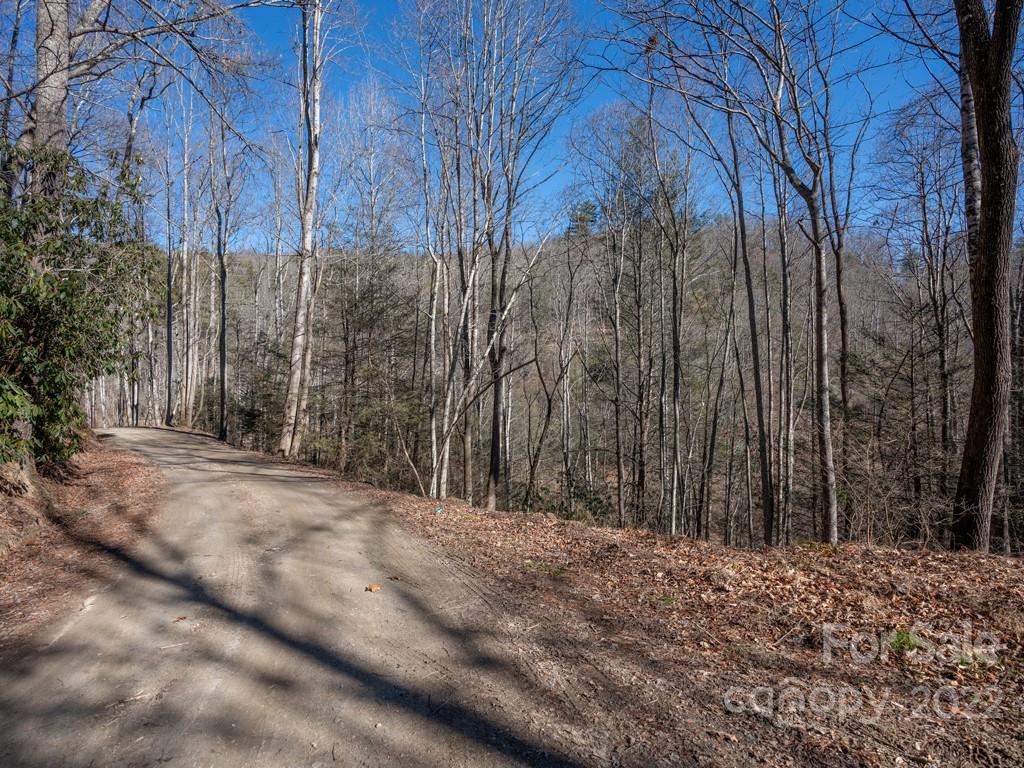 0 Shelton Laurel Road, Unit 1 Clyde, NC 28721 - Photo 19 of 20 a view of a yard with trees