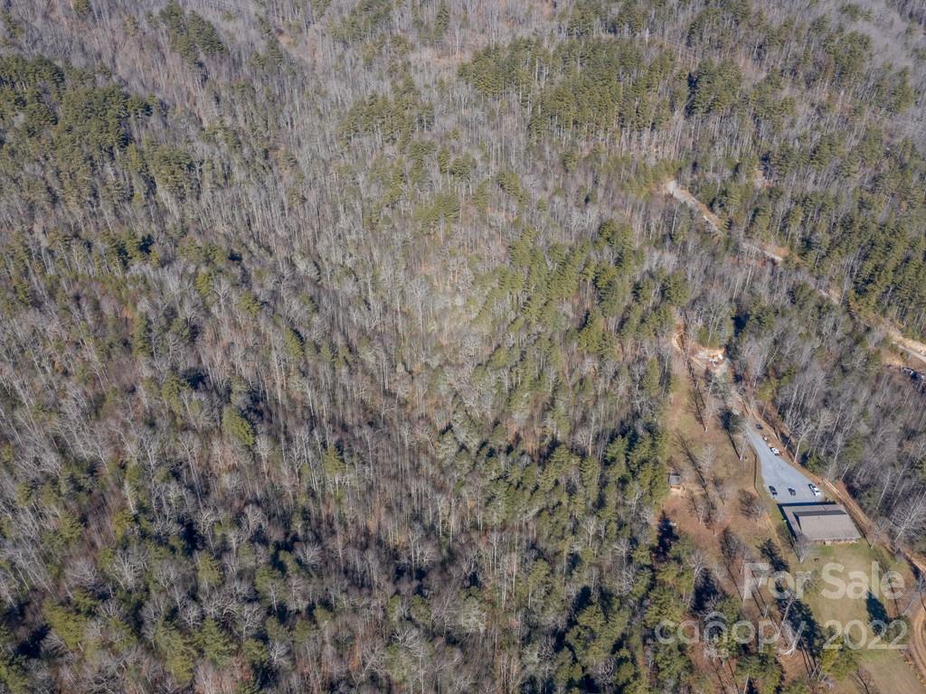 0 Shelton Laurel Road, Unit 1 Clyde, NC 28721 - Photo 2 of 20 a view of a dry yard