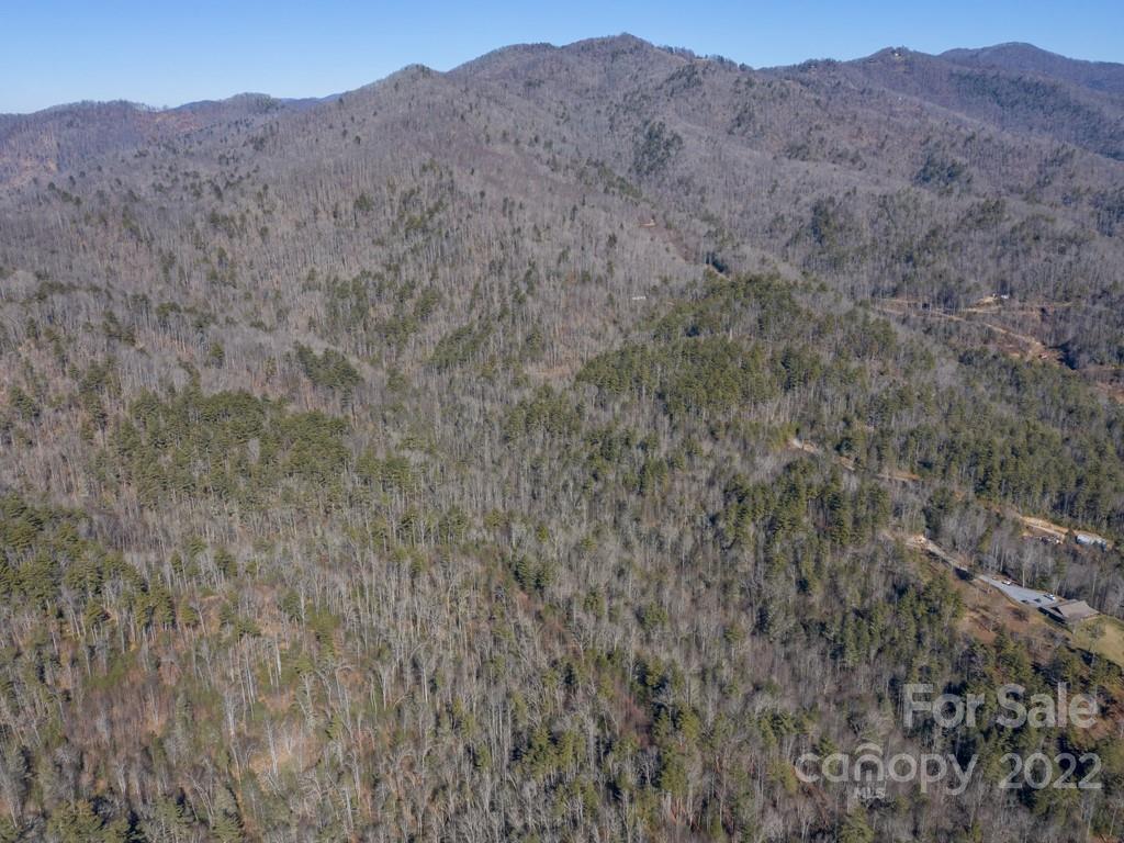 0 Shelton Laurel Road, Unit 1 Clyde, NC 28721 - Photo 4 of 20 a view of a mountain range with trees in the background