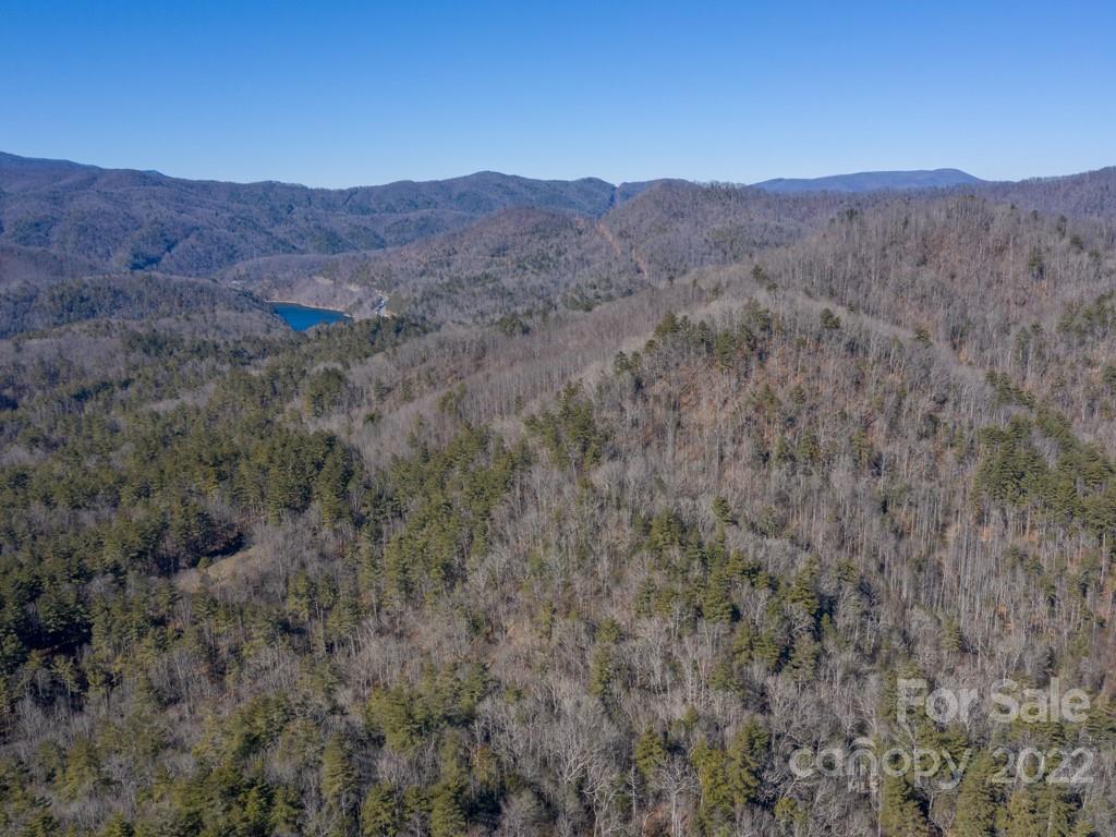 0 Shelton Laurel Road, Unit 1 Clyde, NC 28721 - Photo 5 of 20 a view of a forest with mountains in the background
