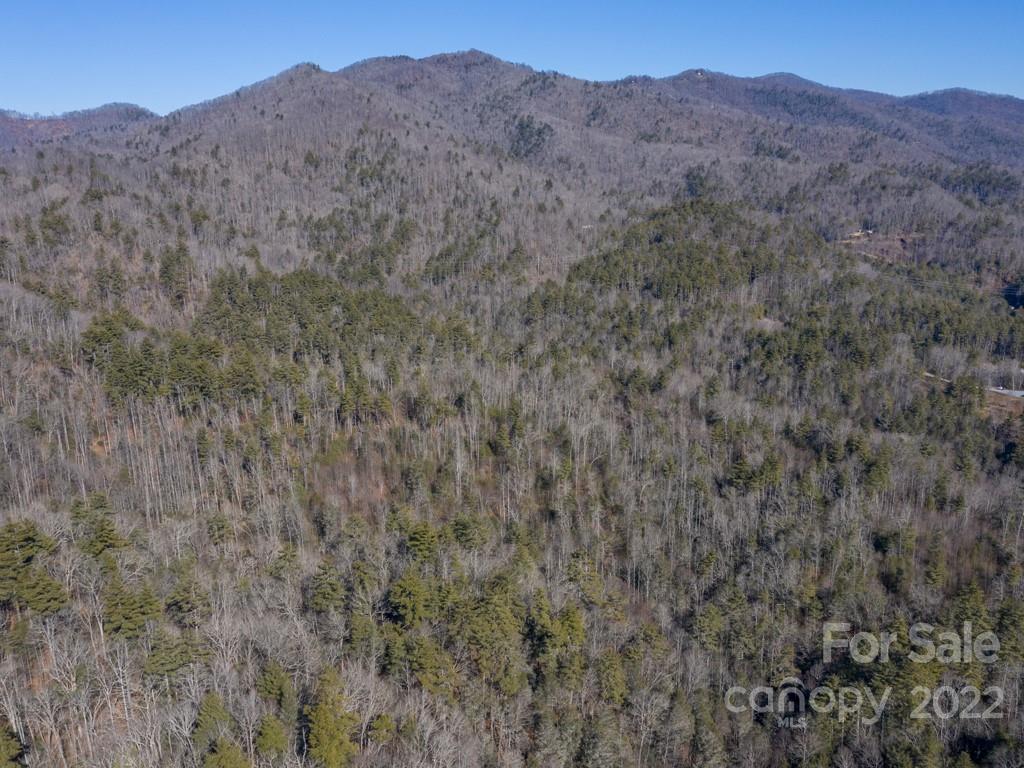 0 Shelton Laurel Road, Unit 1 Clyde, NC 28721 - Photo 6 of 20 a view of a mountain range with trees in the background