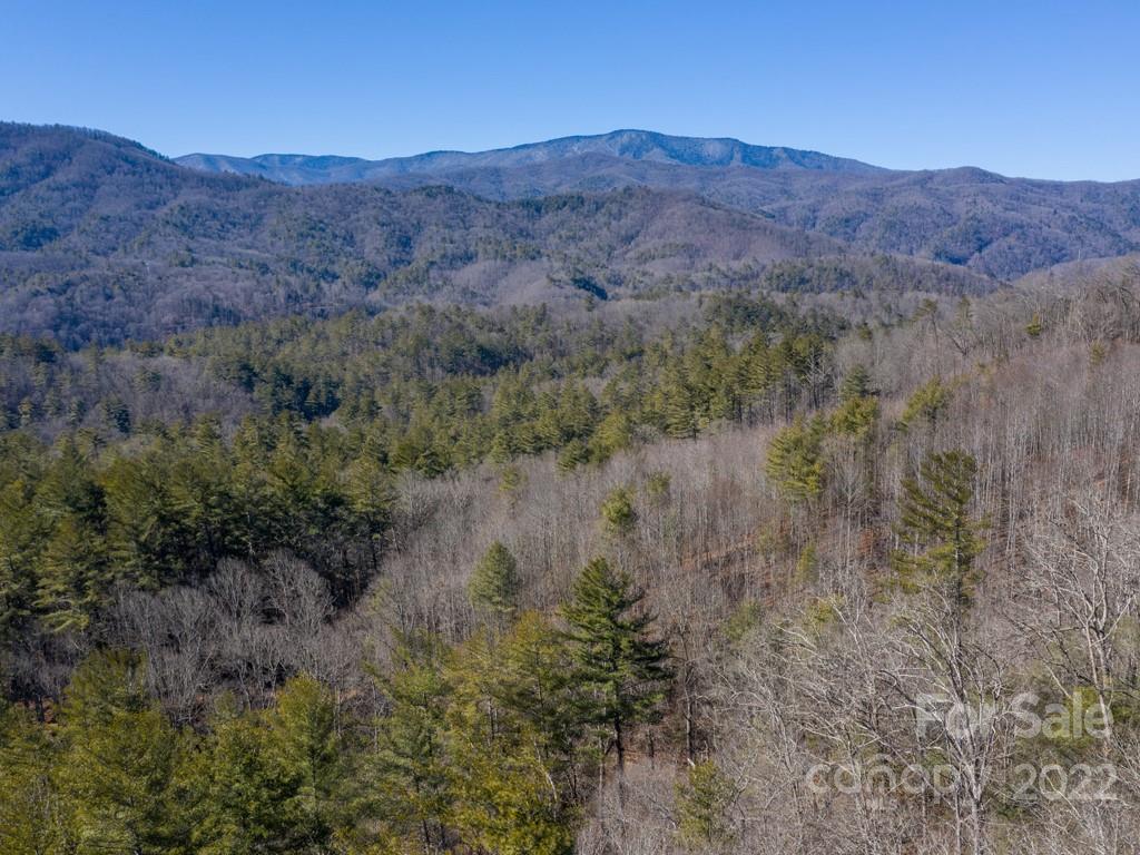0 Shelton Laurel Road, Unit 1 Clyde, NC 28721 - Photo 10 of 20 an aerial view of mountain and tree