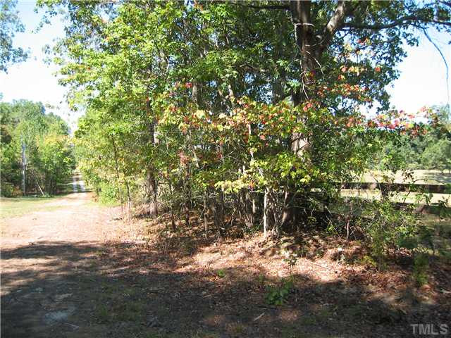 Chatham Church Road Moncure, NC 27559 - Photo 8 of 9 Land/Lot