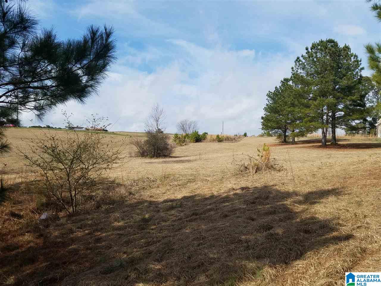 123 Kathy Lane Remlap, AL 35133 - Photo 7 of 25