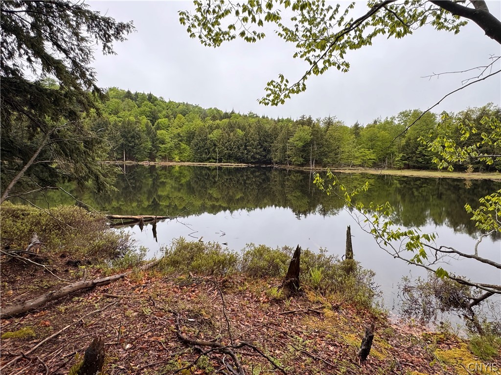 0 Hawkinsville Road Woodgate, NY 13494 - Photo 16 of 27