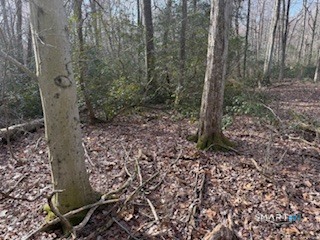 Swain Johnson Trail, Unit 2 Higganum, CT 06441 - Photo 2 of 9 a view of a yard
