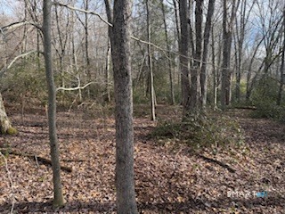 Swain Johnson Trail, Unit 2 Higganum, CT 06441 - Photo 6 of 9 a view of a forest