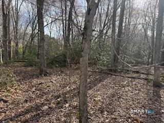 Swain Johnson Trail, Unit 2 Higganum, CT 06441 - Photo 7 of 9 a view of a forest with trees