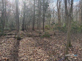 Swain Johnson Trail, Unit 2 Higganum, CT 06441 - Photo 8 of 9 a view of a dry yard with trees