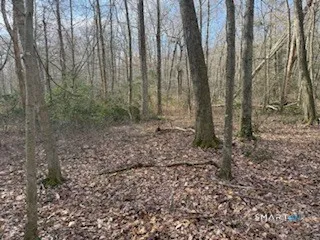 a view of a yard with trees