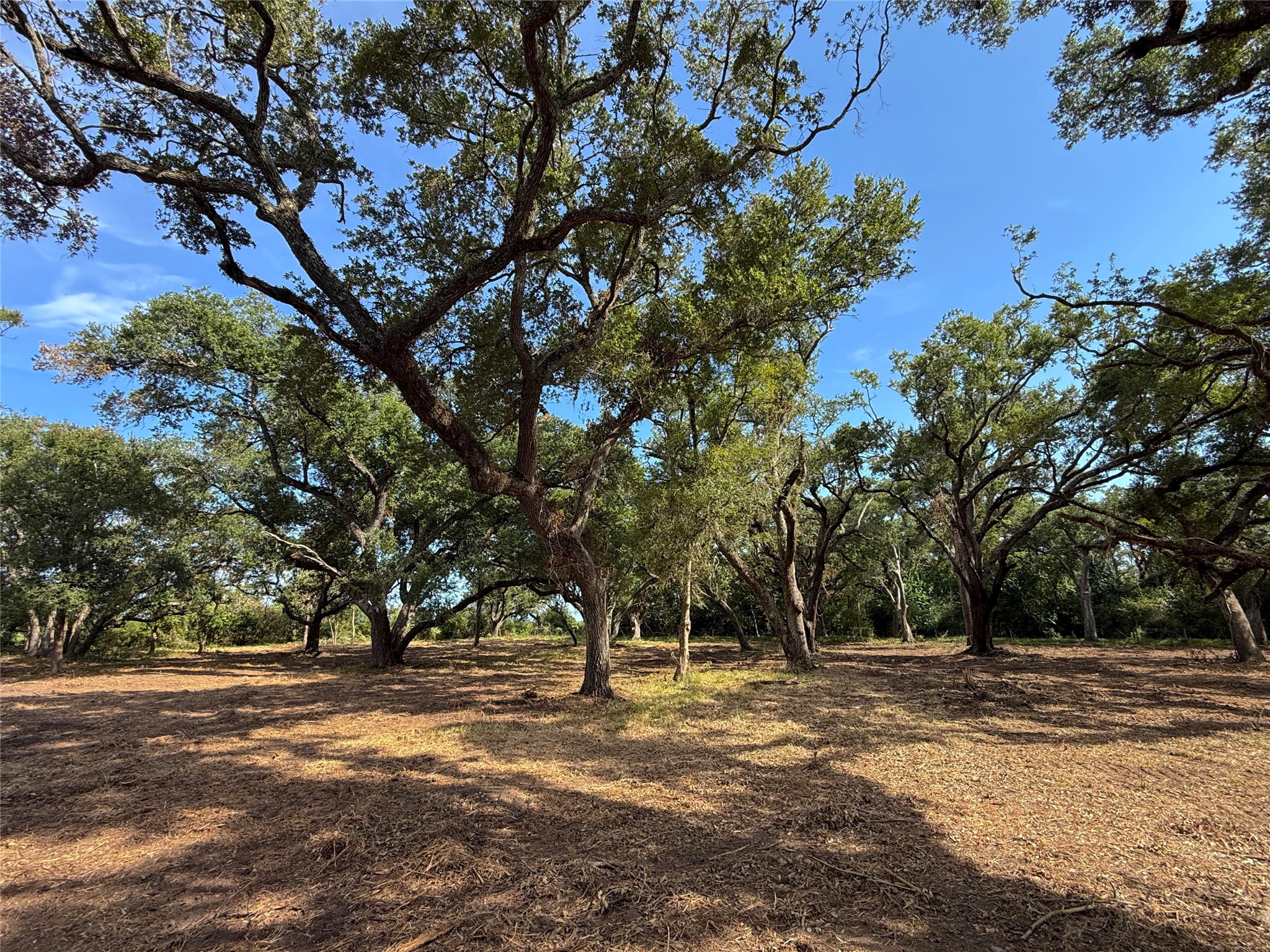 Lot 1 S. F. Austin Road Freeport, TX 77541 - Photo 8 of 9 Gallery Image 8