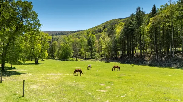 $10,000,000 | 390 Erpf Road, Arkville, NY 12406