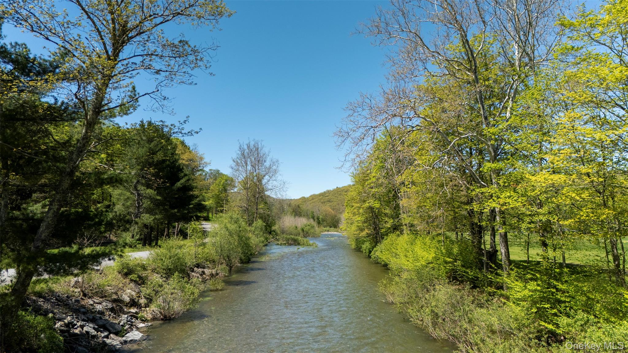 390 Erpf Road Arkville, NY 12406 - Photo 35 of 50 1 Mile of river frontage