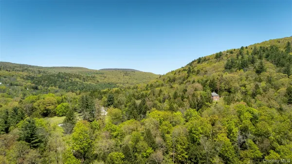 $10,000,000 | 390 Erpf Road, Arkville, NY 12406