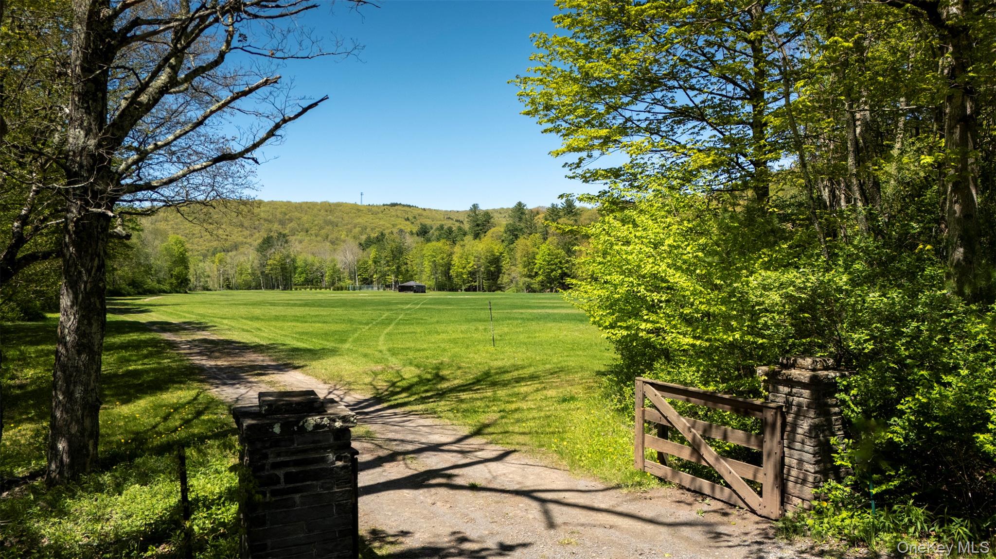 390 Erpf Road Arkville, NY 12406 - Photo 36 of 50 a view of a yard with an trees