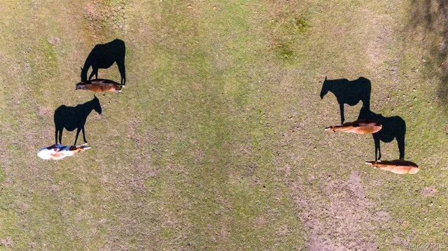 a view of a large mountain