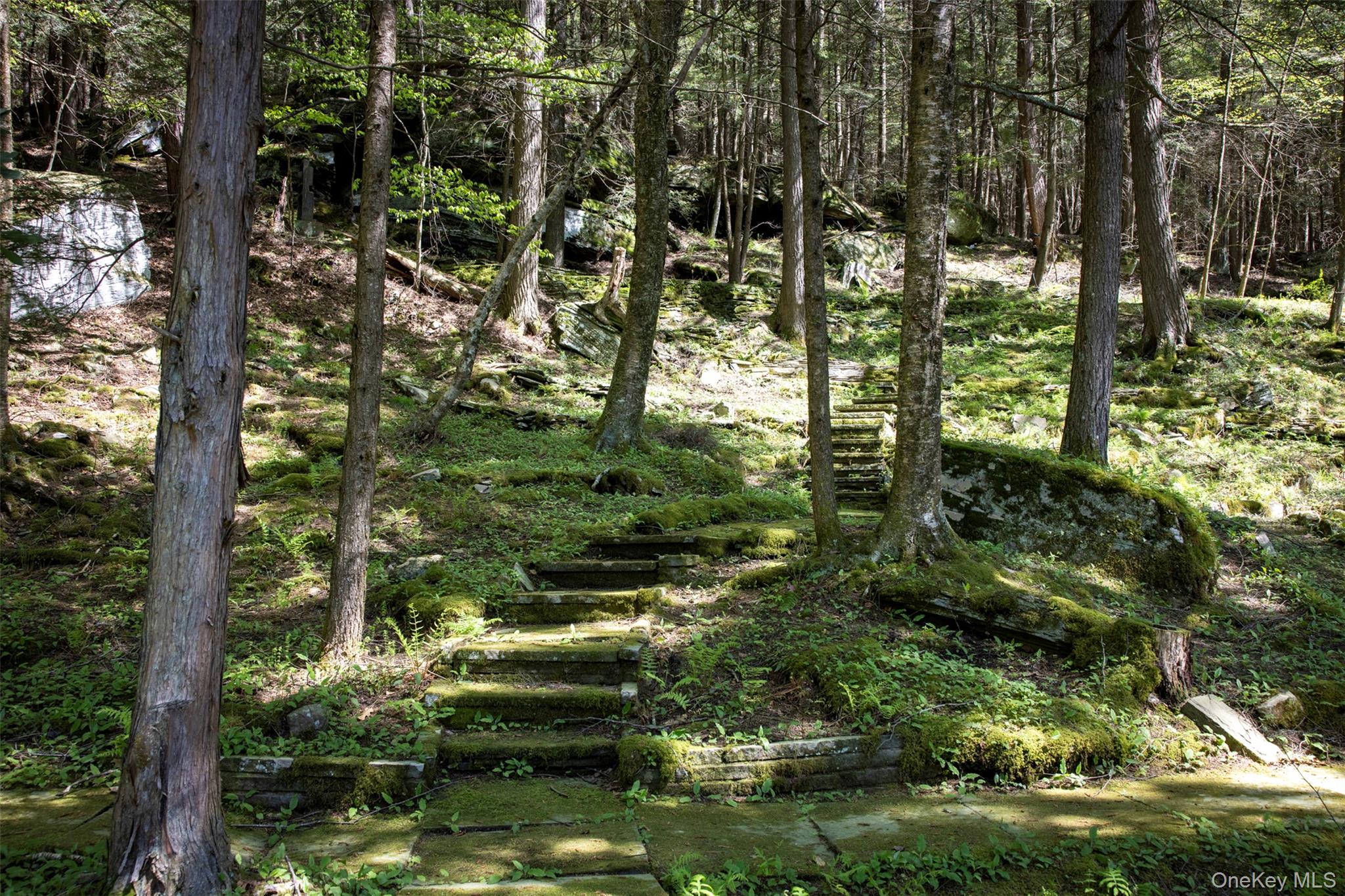390 Erpf Road Arkville, NY 12406 - Photo 38 of 50 View of nature, woodland stone pathways
