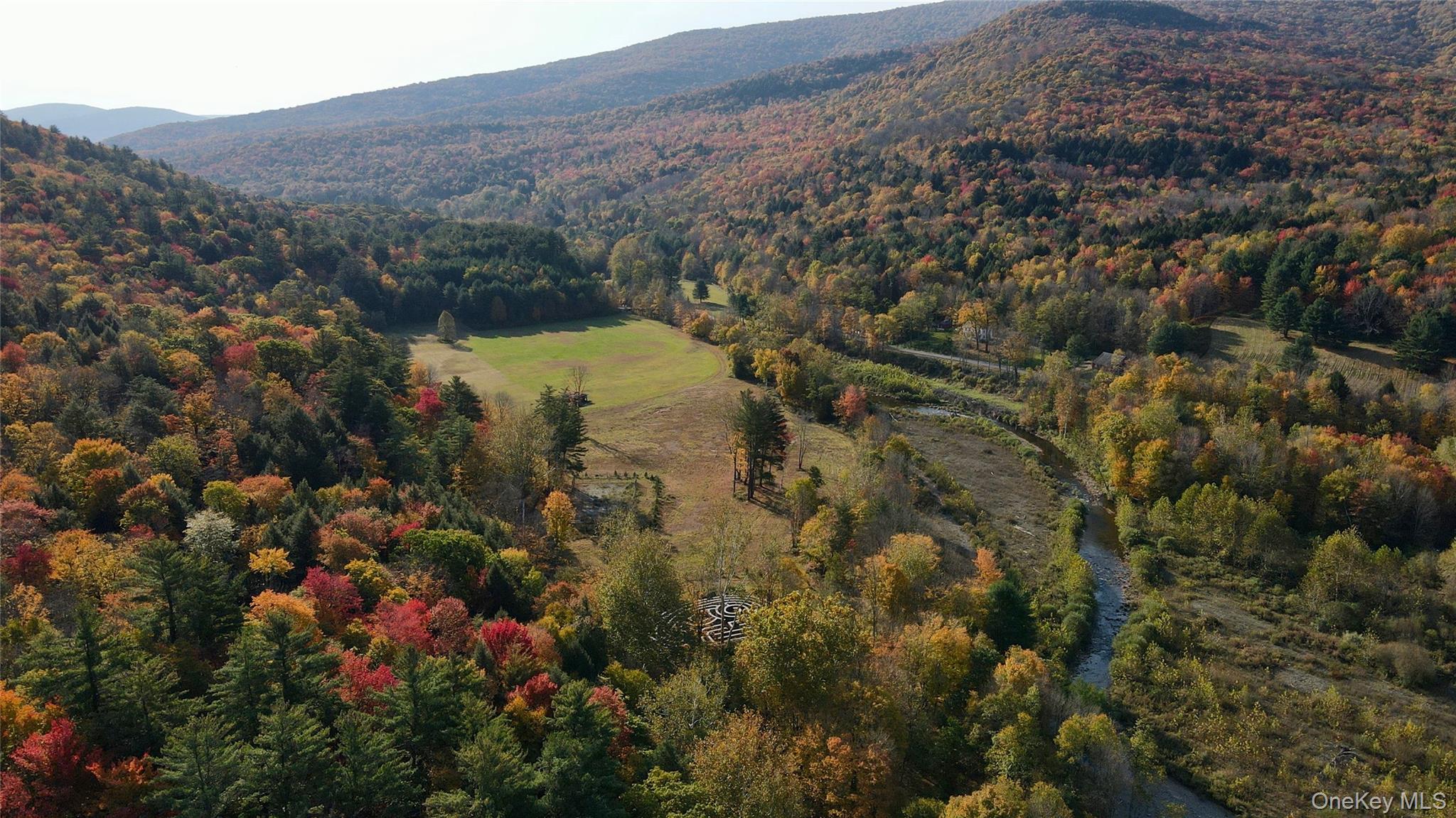 390 Erpf Road Arkville, NY 12406 - Photo 4 of 50 a view of a houses with a lush green hillside