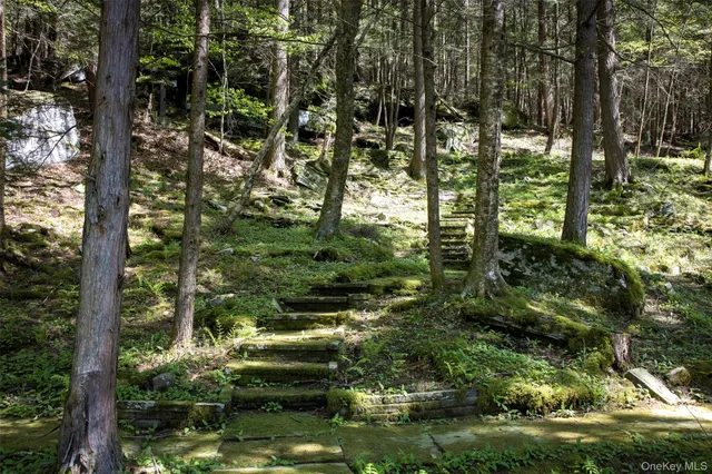 a view of a city with a tree