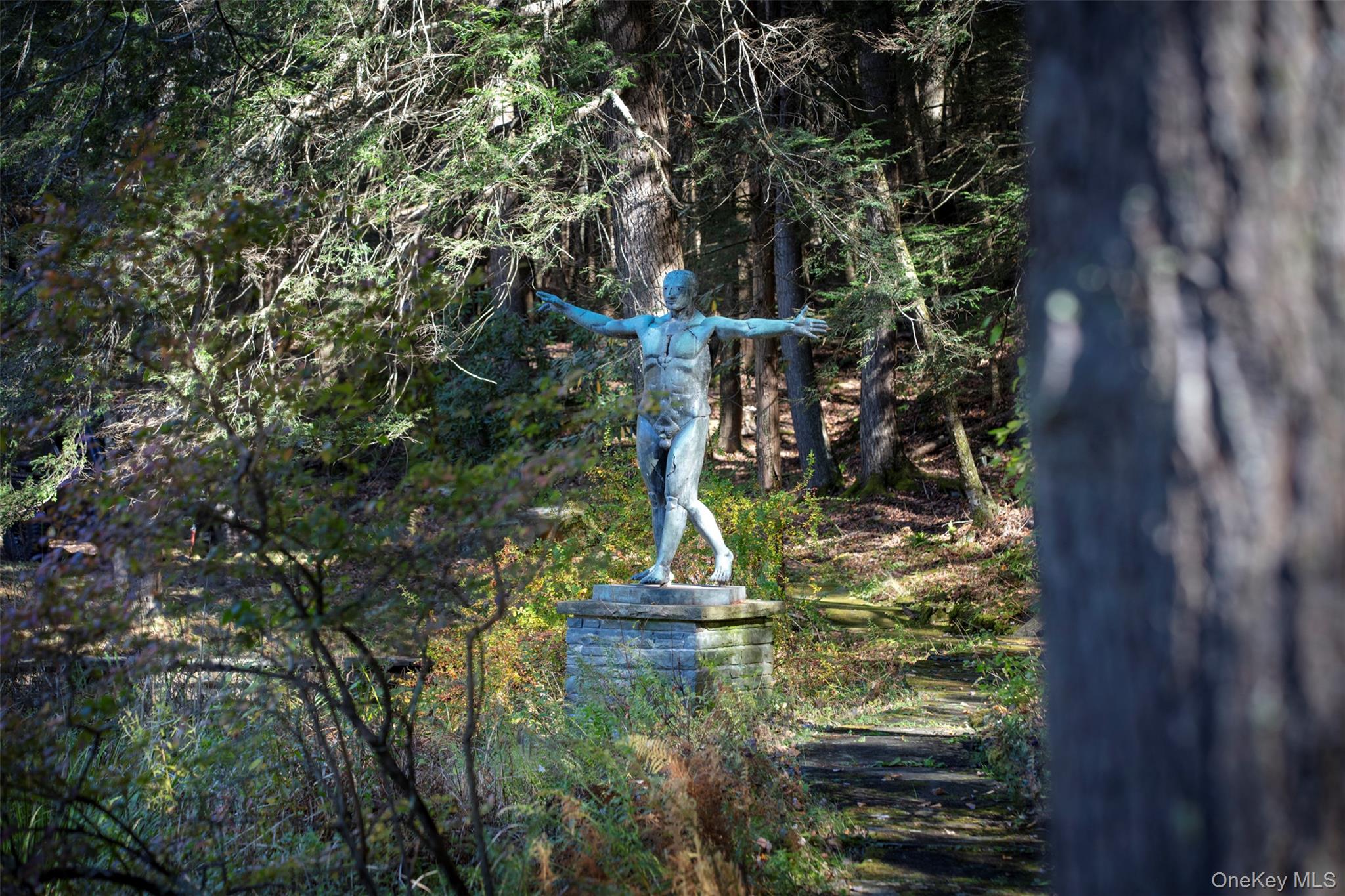 390 Erpf Road Arkville, NY 12406 - Photo 43 of 50 a view of outdoor