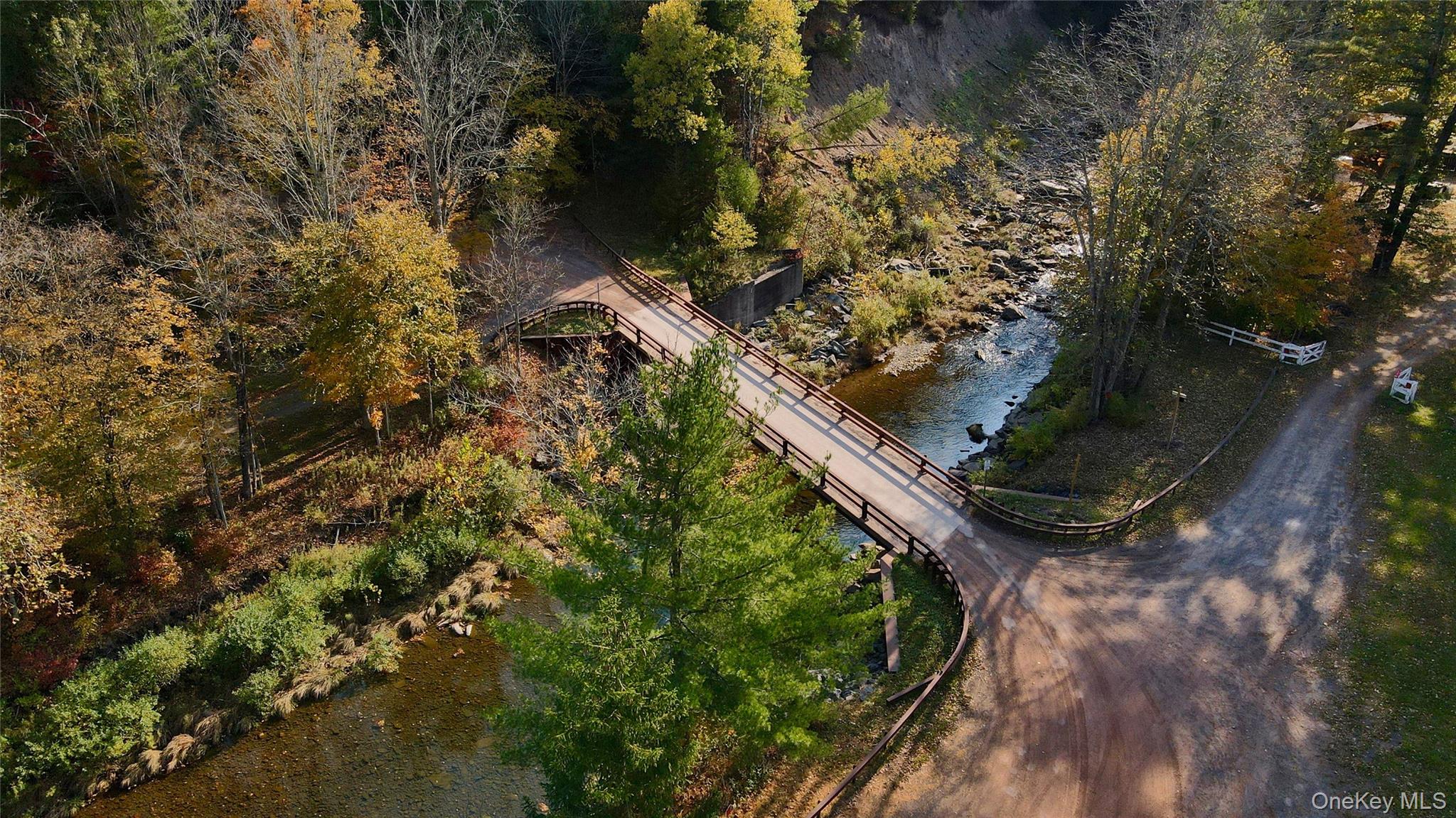 390 Erpf Road Arkville, NY 12406 - Photo 46 of 50 Drone / aerial view of a nearby body of water and a tree filled landscape