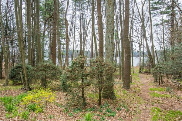 11 Lake Rd Terrace Wayland, MA 01778 - Photo 3 of 15 Gallery Image 3