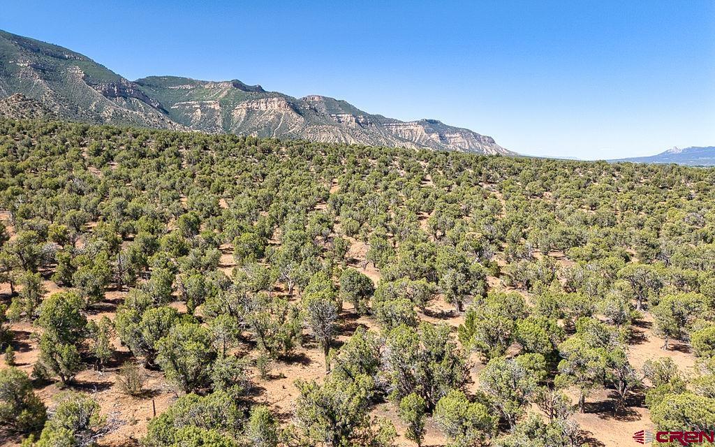 Tbd Rd F Cortez, CO 81321 - Photo 23 of 23