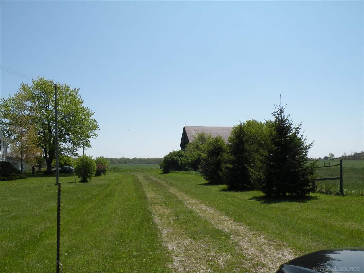 4220 Applegate Road Applegate, MI 48401 - Photo 3 of 14 31309730-2.JPG