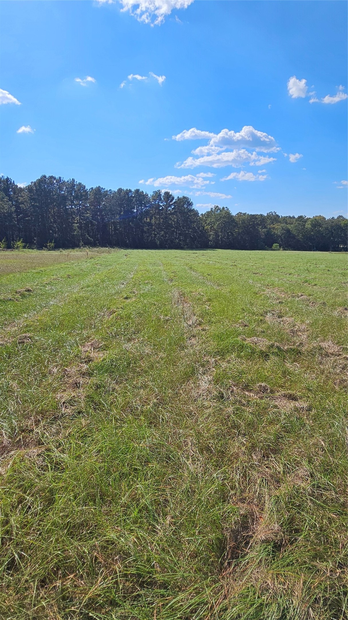 Tbd Hawthorne Road North New Waverly, TX 77358 - Photo 4 of 6 a view of lake and mountain
