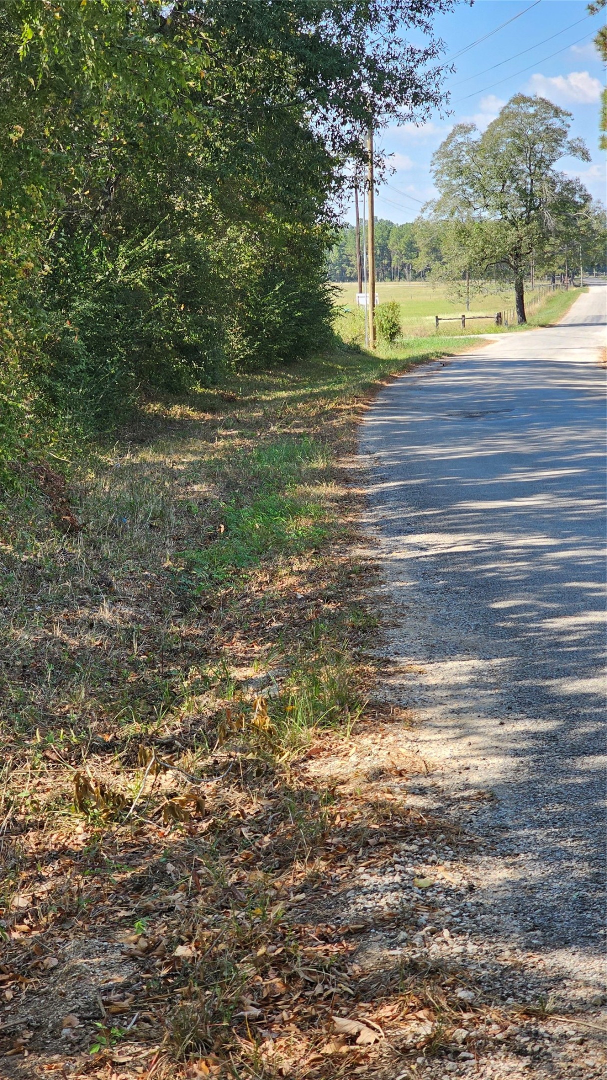 Tbd Hawthorne Road North New Waverly, TX 77358 - Photo 5 of 6 a view of a yard with a tree