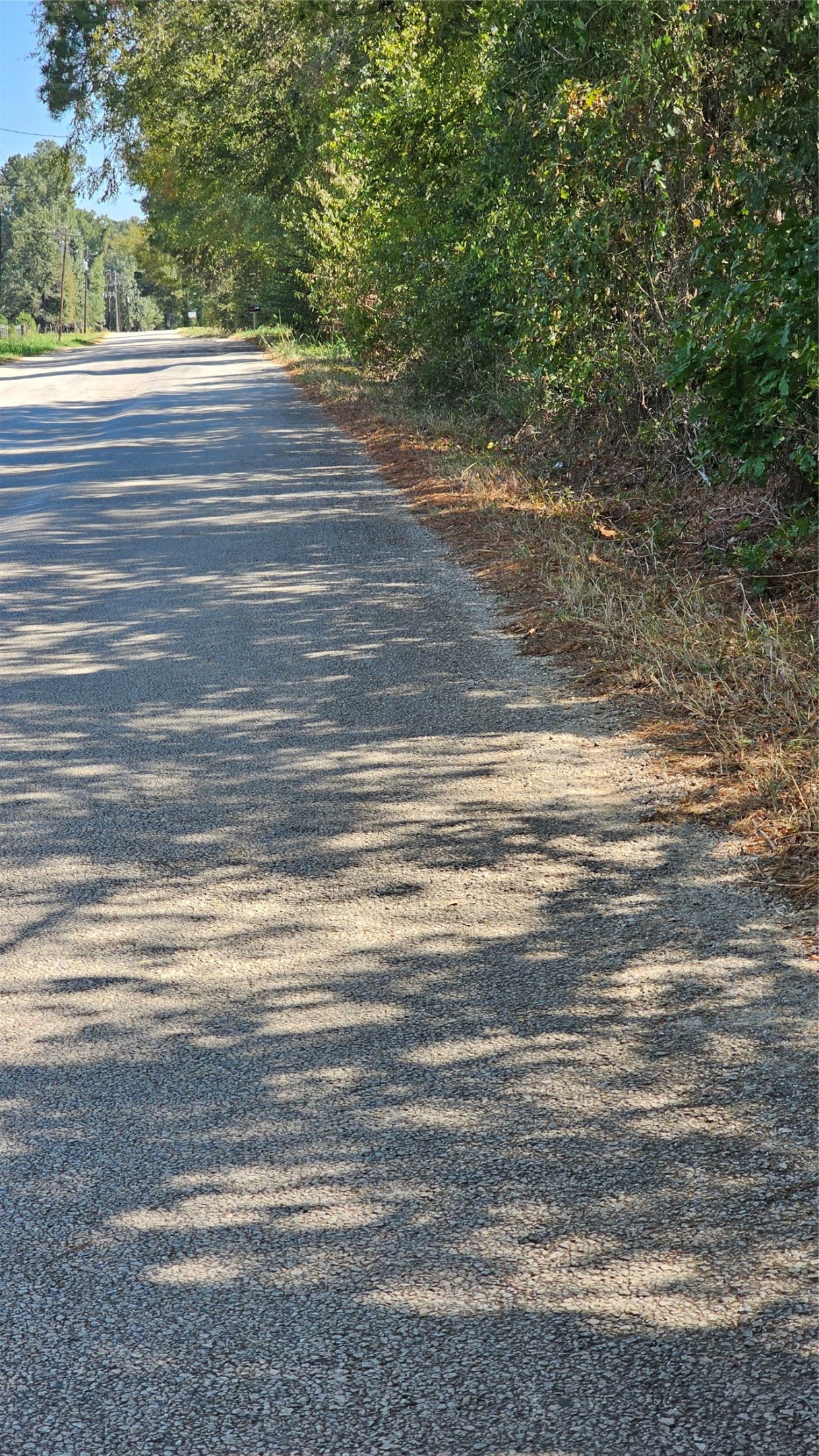Tbd Hawthorne Road North New Waverly, TX 77358 - Photo 6 of 6 a view of a livingroom with wooden floor