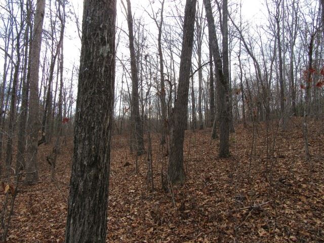 S Side South Side Hidden Valley Road Pickens, SC 29671 - Photo 11 of 28