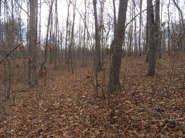 S Side South Side Hidden Valley Road Pickens, SC 29671 - Photo 14 of 28