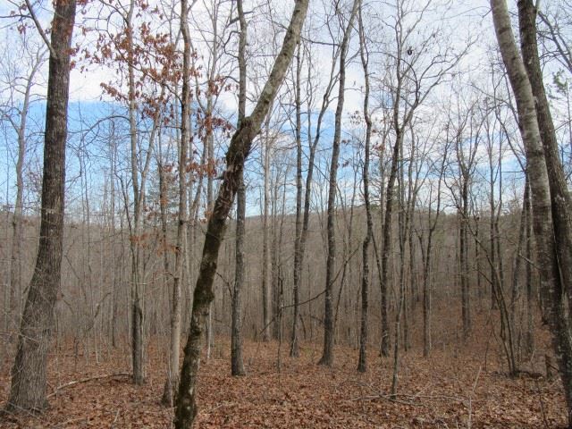 S Side South Side Hidden Valley Road Pickens, SC 29671 - Photo 15 of 28