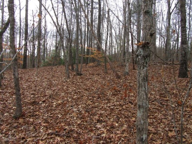 S Side South Side Hidden Valley Road Pickens, SC 29671 - Photo 19 of 28