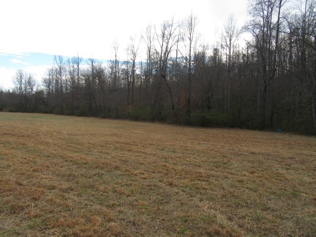 S Side South Side Hidden Valley Road Pickens, SC 29671 - Photo 2 of 28