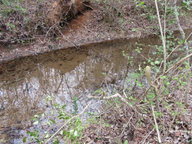 S Side South Side Hidden Valley Road Pickens, SC 29671 - Photo 4 of 28