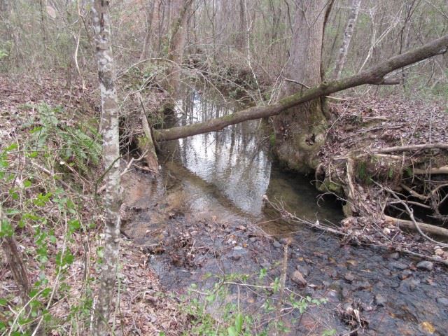 S Side South Side Hidden Valley Road Pickens, SC 29671 - Photo 5 of 28