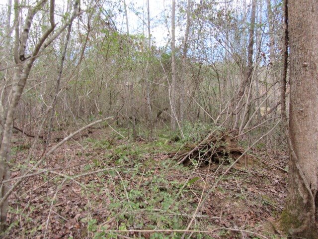 S Side South Side Hidden Valley Road Pickens, SC 29671 - Photo 8 of 28